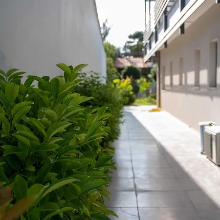 Apartment Finikas & 10min From Athens Airport